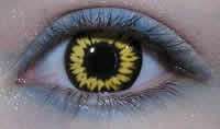 wolf contact lenses