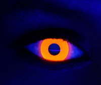 Wild Black Light Contact Lenses - Orange Rave